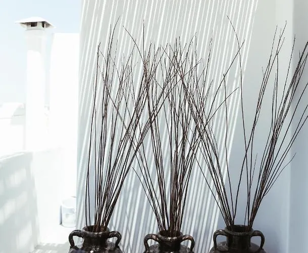 Mooi Central Sunset Suite Διαμέρισμα *